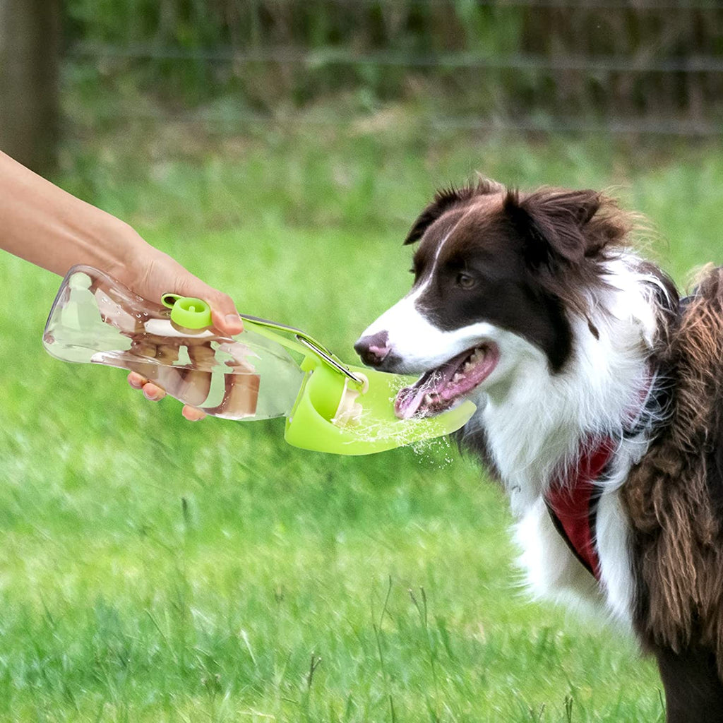 Portable Dog Water Bottle 580ml – Leakproof Flip Cup with Drinking Bowl