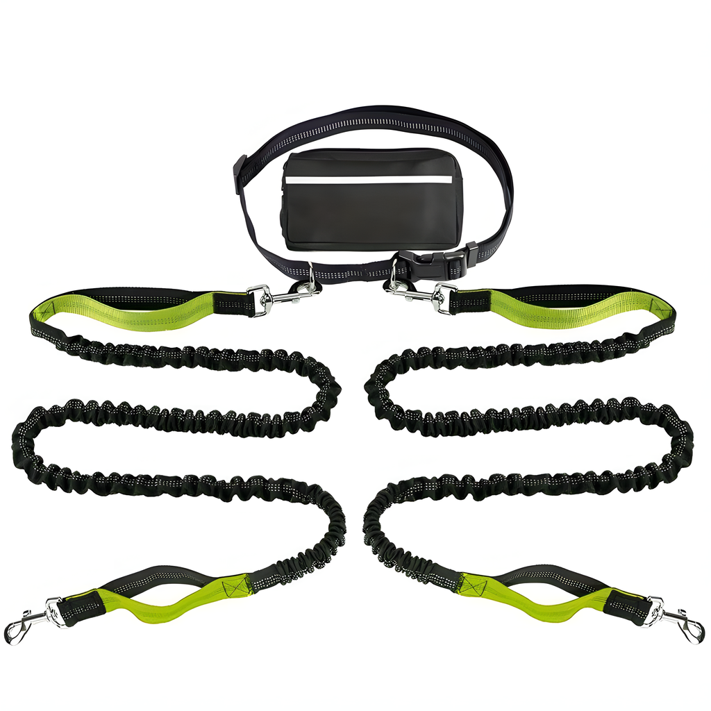 Reflective Pet Running Leash & Waist Pack Set – Hands-Free Dog Lead | HealthyLivi