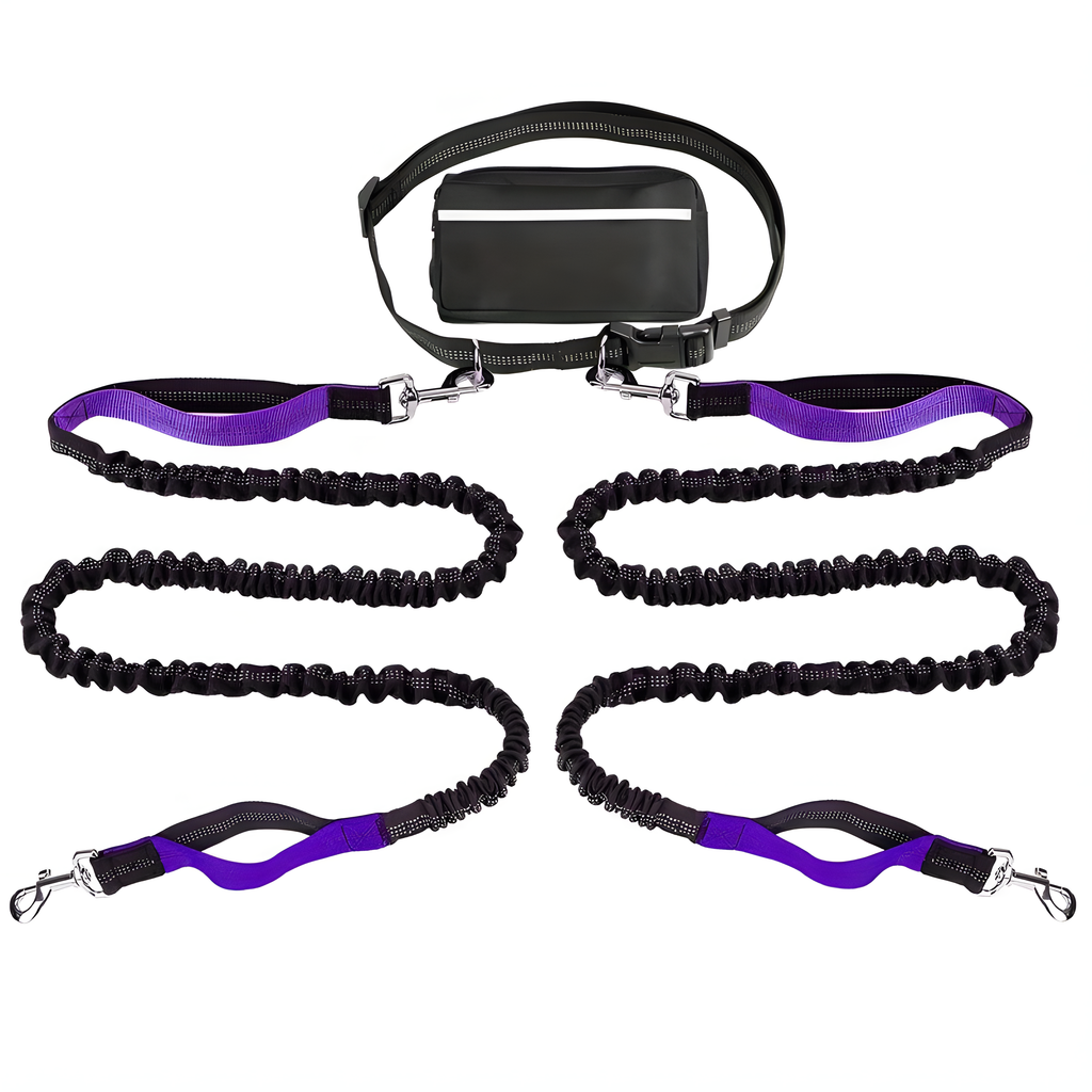 Reflective Pet Running Leash & Waist Pack Set – Hands-Free Dog Lead | HealthyLivi