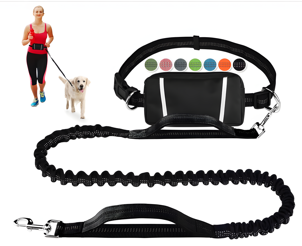 Reflective Pet Running Leash & Waist Pack Set – Hands-Free Dog Lead | HealthyLivi
