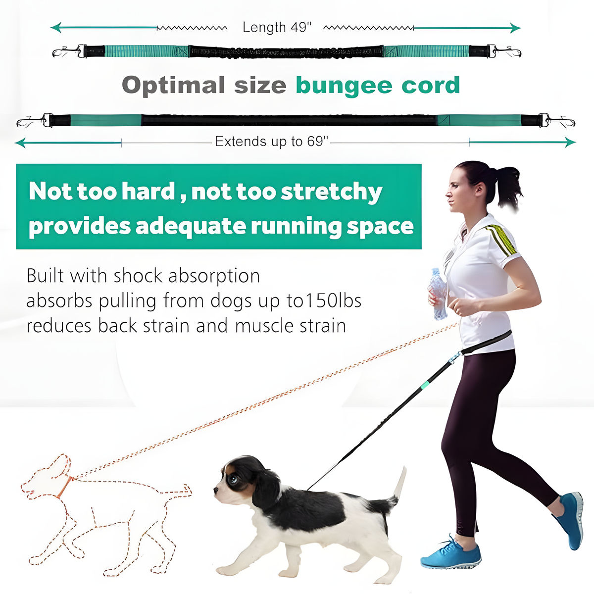 Reflective Pet Running Leash & Waist Pack Set – Hands-Free Dog Lead | HealthyLivi