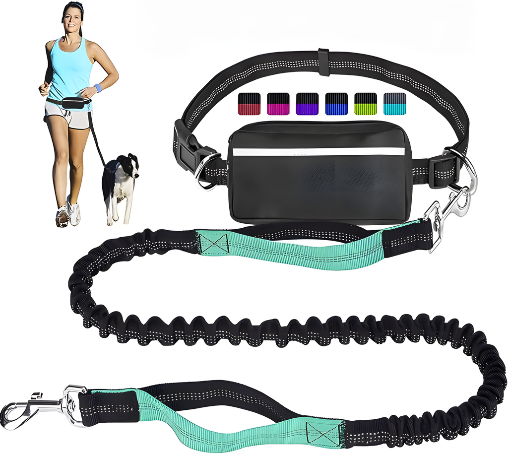 Reflective Pet Running Leash & Waist Pack Set – Hands-Free Dog Lead | HealthyLivi