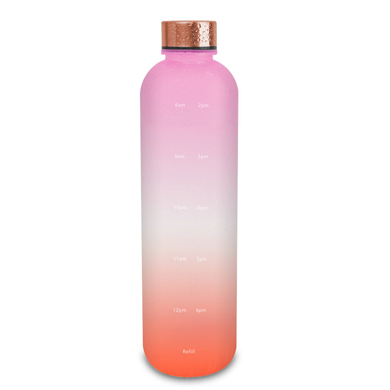 Frosted Gradient Sports Water Bottle 1L – BPA-Free Tritan with Handle